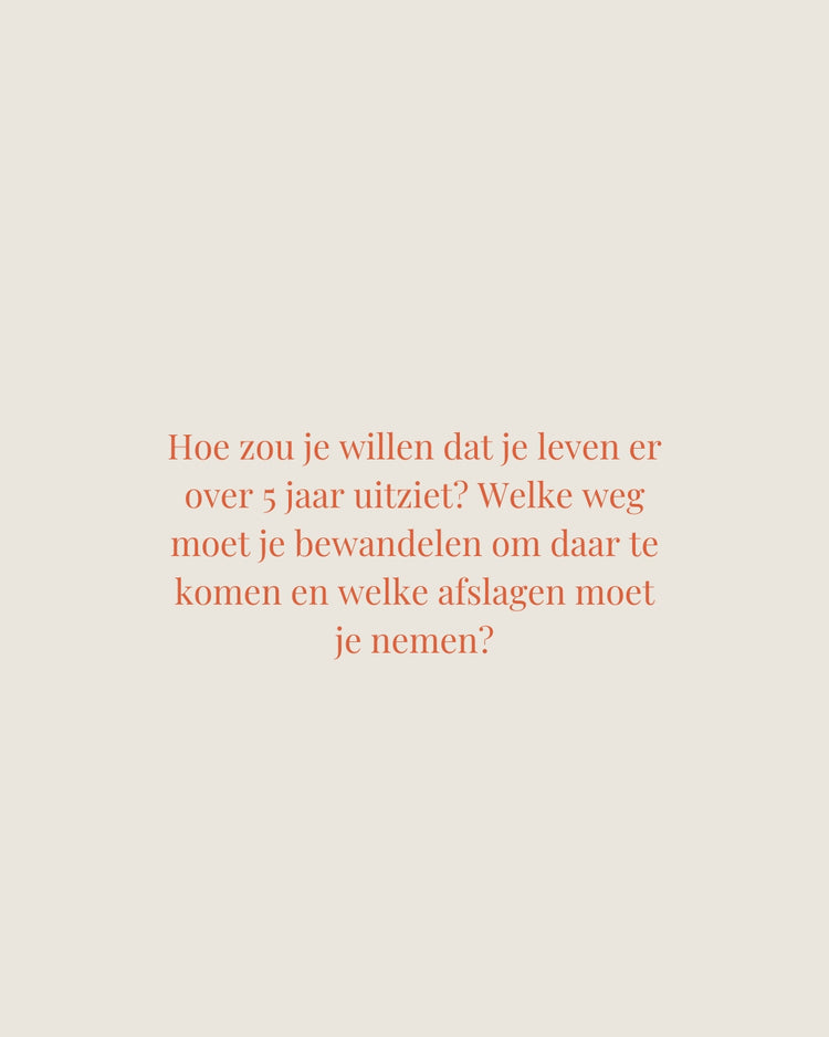 FRANK | HET KAARTSPEL